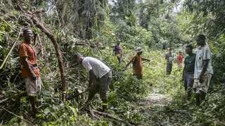 Cyclone Batsirai's high winds and rain pound Madagascar