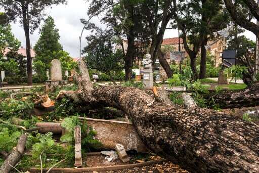 Trees uprooted, buildings destroyed