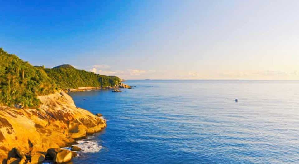 Just 15 per cent of world’s coastal regions remain unharmed: Study Just 15 per cent of world’s coastal regions remain unharmed: Study