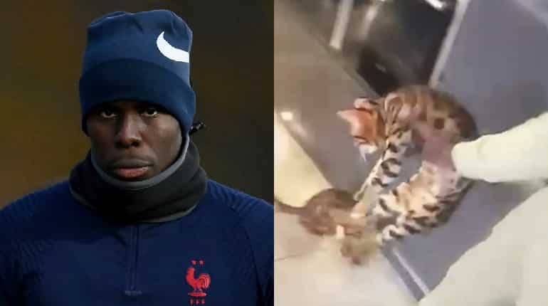 West Ham footballer Kurt Zouma filmed kicking, slapping his pet cat in sickening video; issues apology West Ham footballer Kurt Zouma filmed kicking, slapping his pet cat in sickening video; issues apology