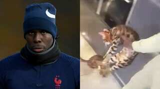 West Ham footballer Kurt Zouma filmed kicking, slapping his pet cat in sickening video; issues apology