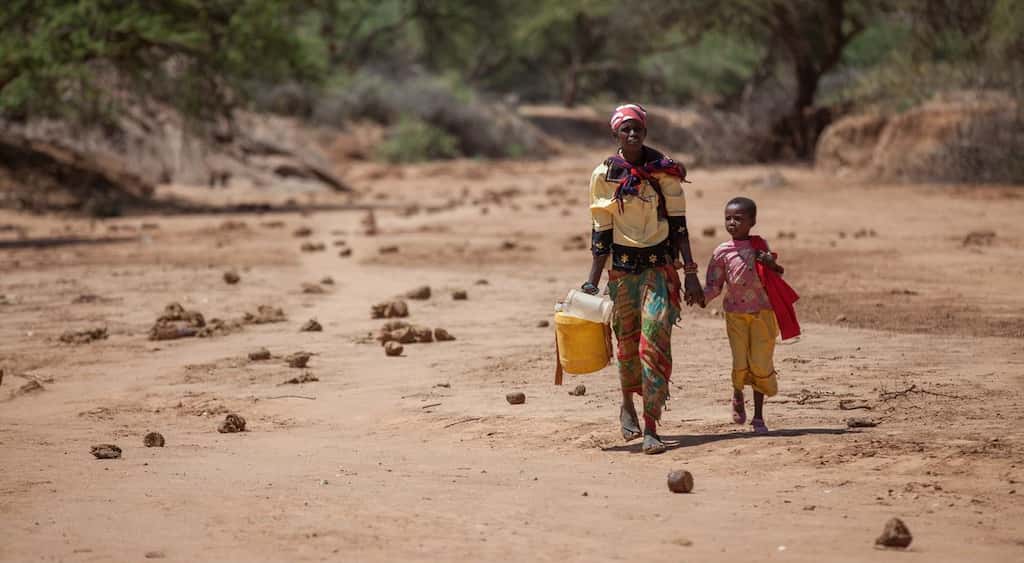 Drought worsens livelihood in East Africa as 13 mn people face hunger