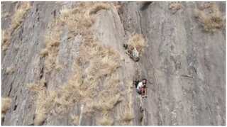 India: Army teams mobilised to rescue trekker stuck in crevice for 30 hours