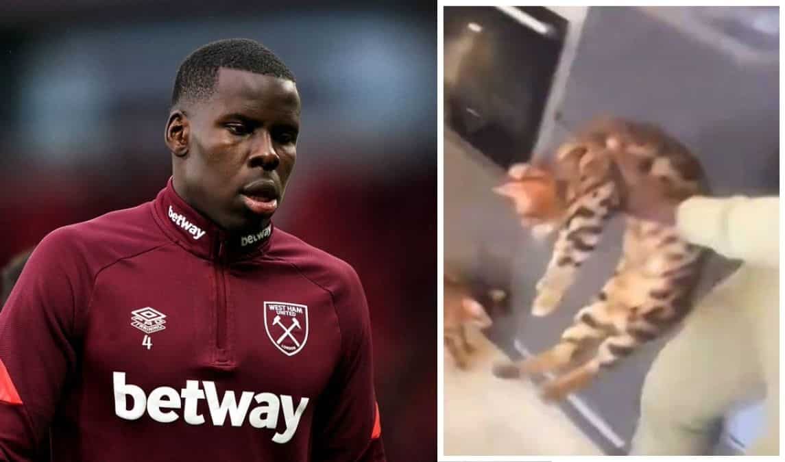Footballer Kurt Zouma could face up to four years in French prison for abusing pet cat; watch outrageous video Footballer Kurt Zouma could face up to four years in French prison for abusing pet cat; watch outrageous video