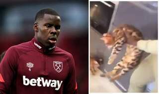 Footballer Kurt Zouma could face up to four years in French prison for abusing pet cat; watch outrageous video