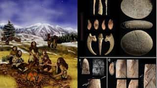 Did we, the modern humans, kill off Neanderthals? A new finding may have answers