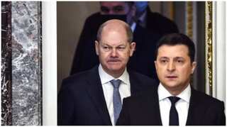 Ukraine will continue pursuing NATO membership goal, says Zelenskiy 