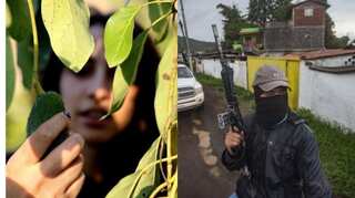 Cartels & turf wars: Why the US suspended avocado imports from Mexico