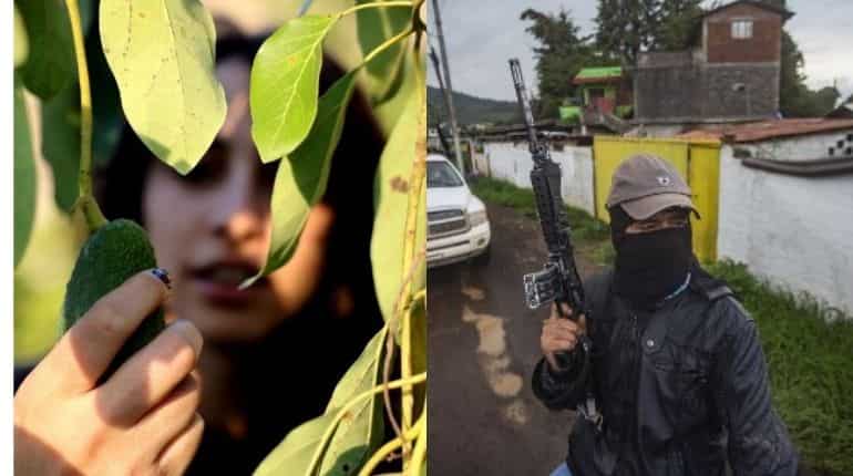 Cartels & turf wars: Why the US suspended avocado imports from Mexico