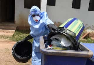Explainer: Patient dies due to Lassa fever in UK: What are the symptoms & how can it be prevented?