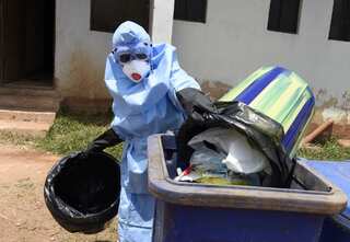 Explainer: Patient dies due to Lassa fever in UK: What are the symptoms & how can it be prevented?
