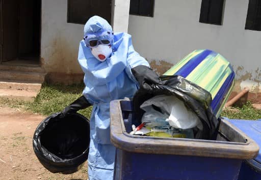 Explainer: Patient dies due to Lassa fever in UK: What are the symptoms & how can it be prevented?