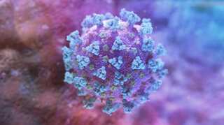 Hybrid variant of Covid 'Deltacron' may be real. All you should know