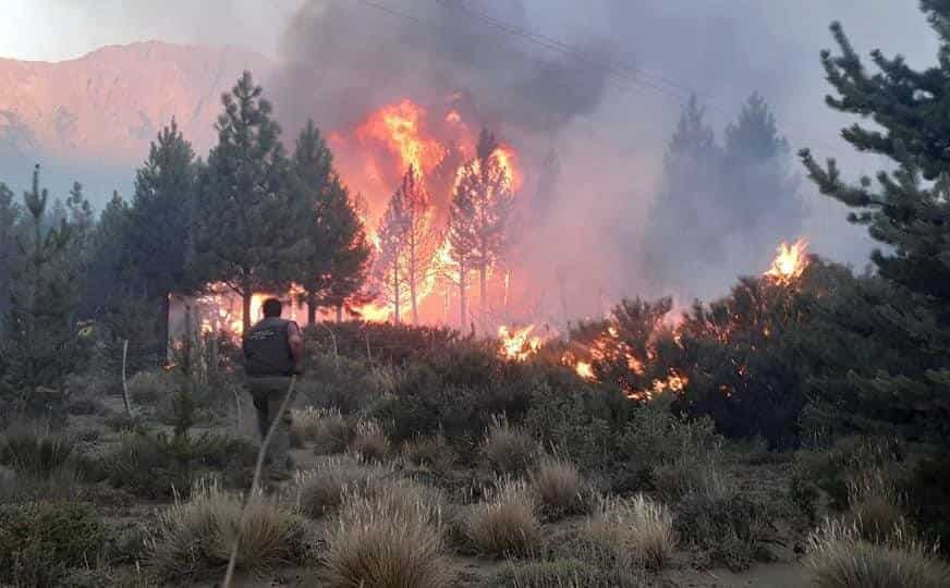 North Argentina: Wildfire consumes over 50,000 hectares at Ibera National Park