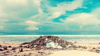 $1.8 billion; that's how much govt subsidies contribute every year to human extinction & climate change