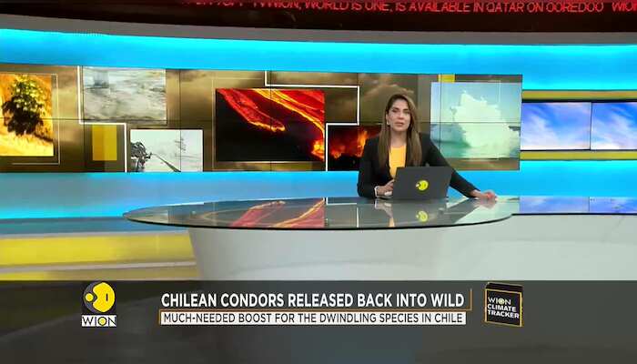 WionNews Video