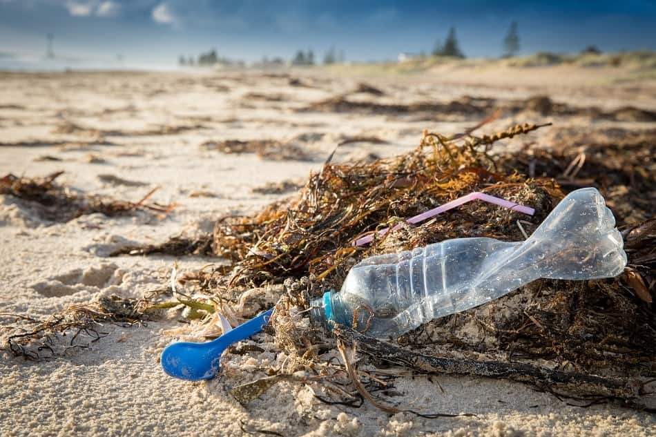 UK: Entrepreneurs aim to 'reuse & recycle' to tackle plastic pollution ...