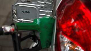 India's Jan crude oil imports ease from one-year highs