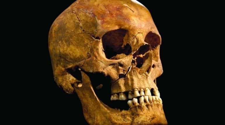 Evidence of first ear surgery found in 5,300-year-old skull, say archaeologists