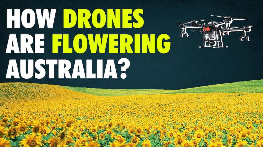 How Drones are planting flowers in Australia?