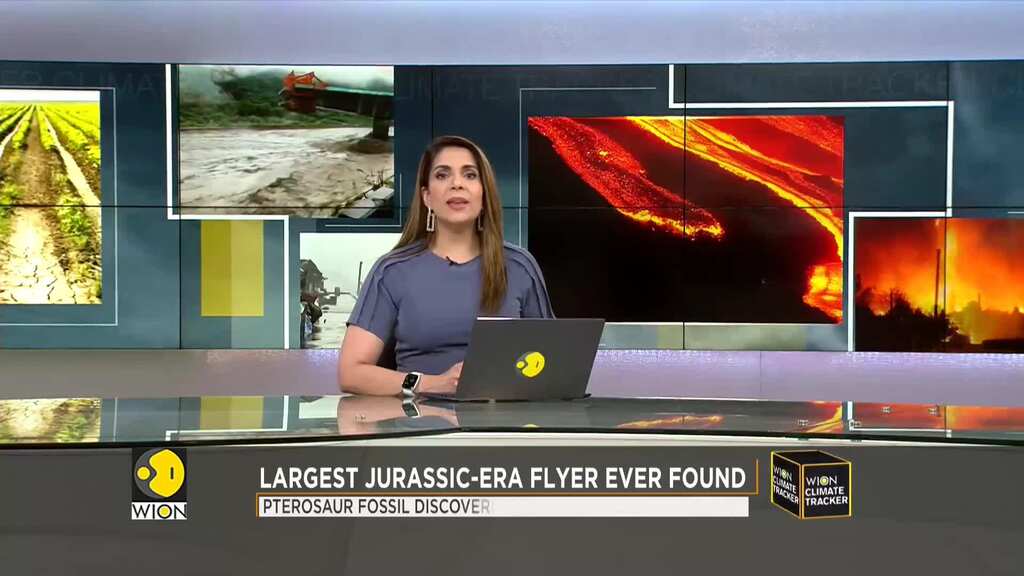 Remains of world's biggest Jurassic-era flying reptile found on Scottish isle