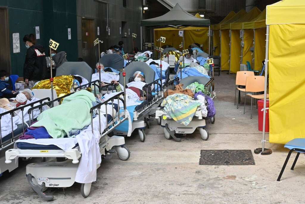Hong Kong to enforce mass testing amid Fifth wave of COVID-19 led by the Omicron variant