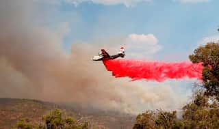 Climate forecasters warn of a 'global wildfire crisis'