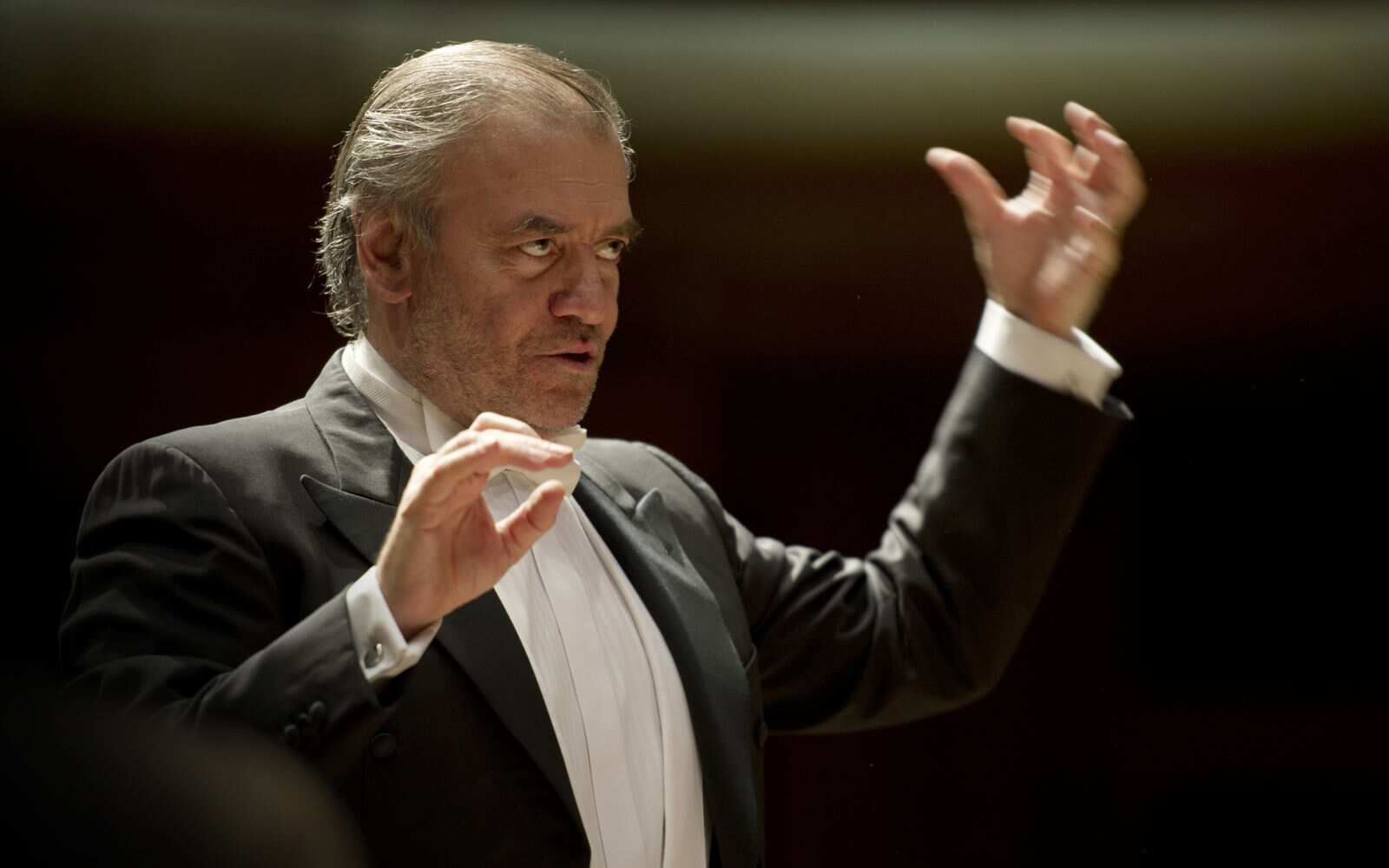 Putin supporter Gergiev axed from Carnegie Hall shows Putin supporter Gergiev axed from Carnegie Hall shows