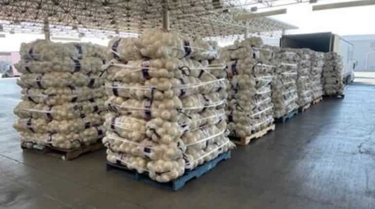 Drugs or onions? $3 million worth methamphetamine seized in US