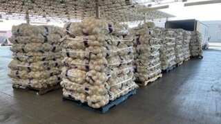 Drugs or onions? $3 million worth methamphetamine seized in US