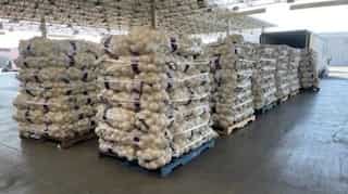 Drugs or onions? $3 million worth methamphetamine seized in US