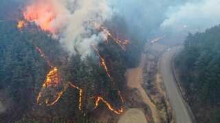 Over 6,000 evacuated due to fast-spreading wildfire in South Korea