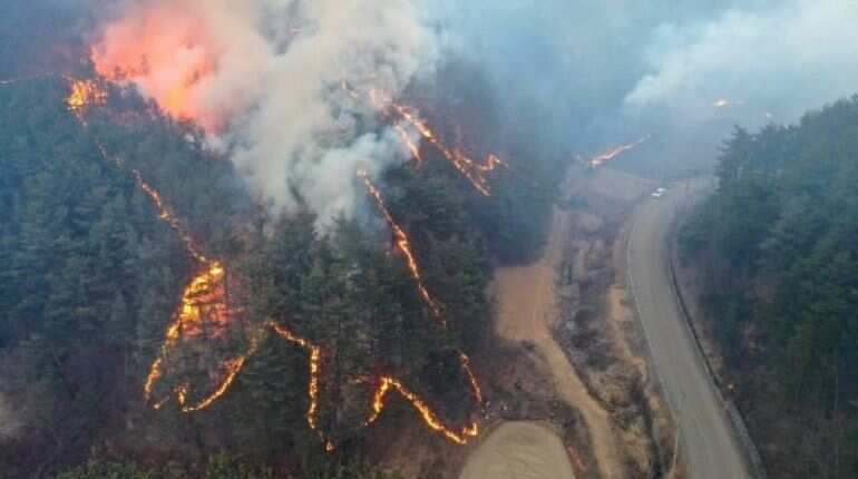 Over 6,000 evacuated due to fast-spreading wildfire in South Korea