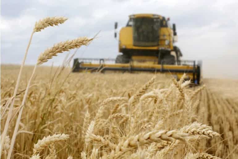 Russia-Ukraine war: Moscow ready to guarantee safety of vessels carrying grain from Ukraine