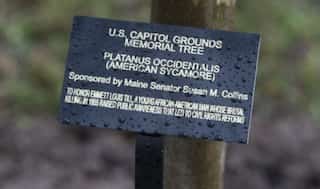 US Congress gives final approval to make lynching a hate crime