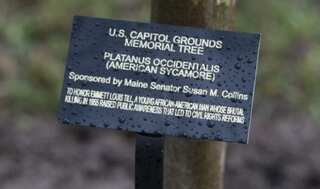 US Congress gives final approval to make lynching a hate crime
