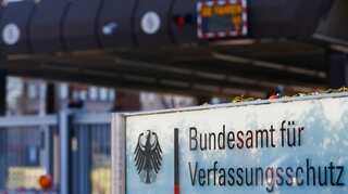 German domestic intelligence agency gets green-light to spy on far-right, extremist AfD party