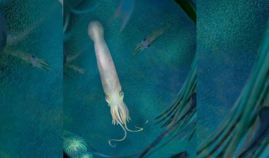 Fossil of vampire squid’s oldest ancestor is named for Biden