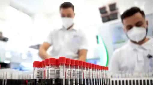 Exclusive: WHO says it advised Ukraine to destroy pathogens in health labs to prevent disease spread