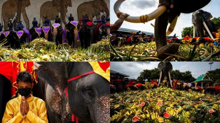 Thailand lays out buffet for elephants in national celebration