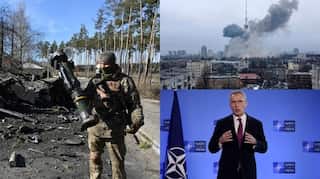 Top 10 world news: US journalist reportedly shot dead in Ukraine, and more
