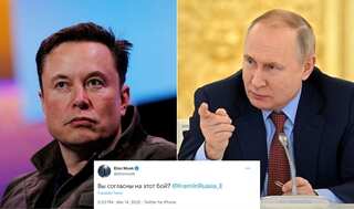 Elon Musk challenges Vladimir Putin to a fight for Ukraine and he is 'absolutely serious'