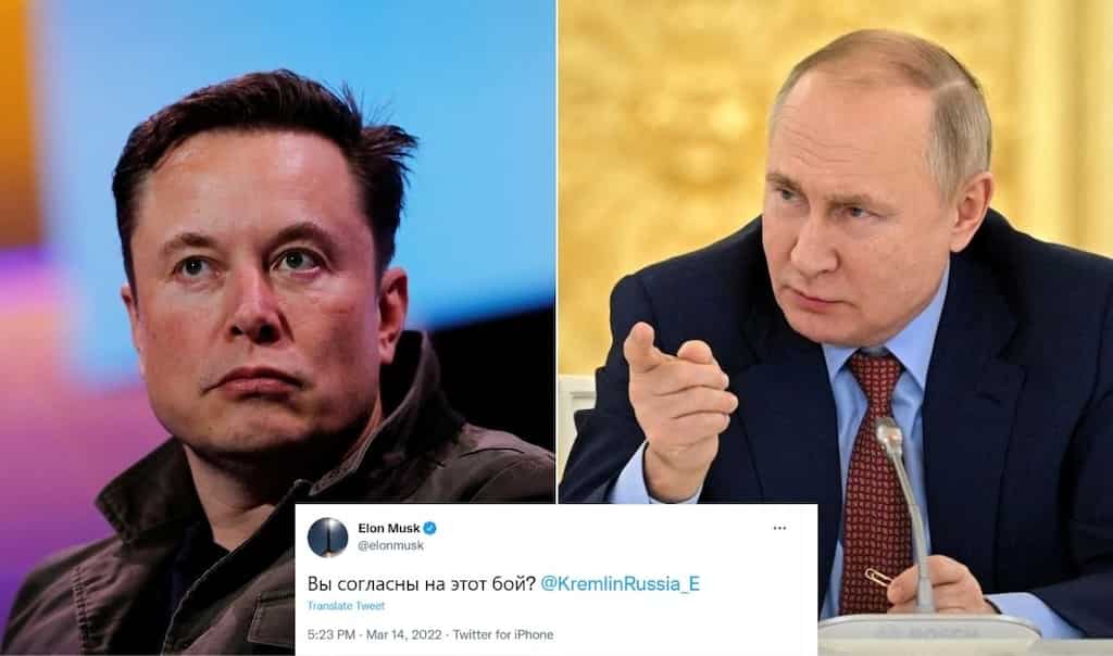 Elon Musk challenges Vladimir Putin to a fight for Ukraine and he is 'absolutely serious'