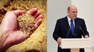 Russia temporarily bans grain exports to former Soviet countries