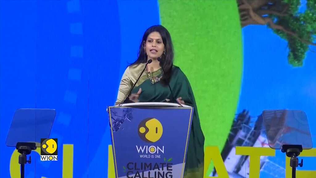 Union minister Nitin Gadkari at WION Climate Summit