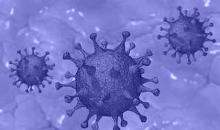 Israel reports new coronavirus variant