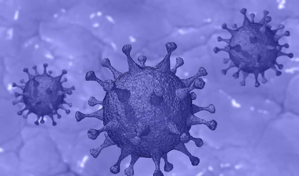 Israel reports new coronavirus variant
