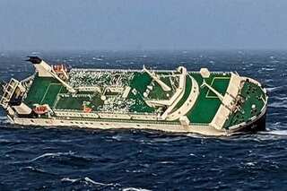 UAE cargo ship carrying 30 crew members sinks off Iran coast