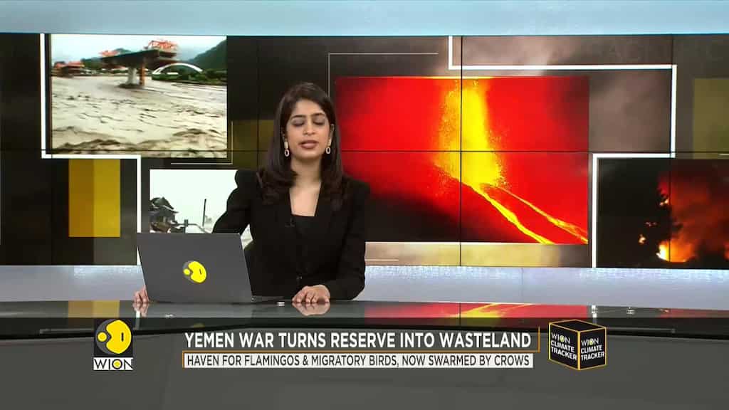 Yemen War: Nature reserve abandoned, trees cut down