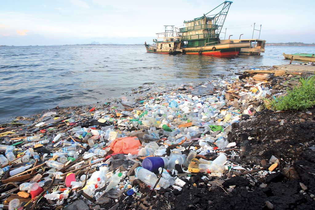 Microplastics found in Marine life: Scientists take research trips on the Brazilian coast